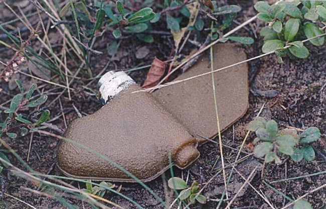 Оттавская конвенция “давай до свиданья”?