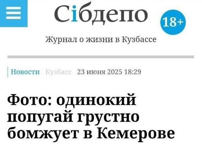 Новини одним рядком Новини одним рядком