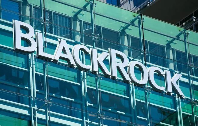 Американская компания BlackRock прекратила поиск инвесторов для своего фонда помощи Украине