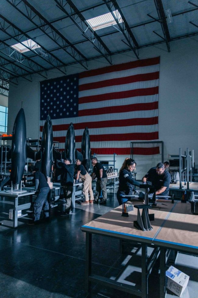 Новый реактивный барражирующий боеприпас Viper (США) Новый реактивный барражирующий боеприпас Viper (США)