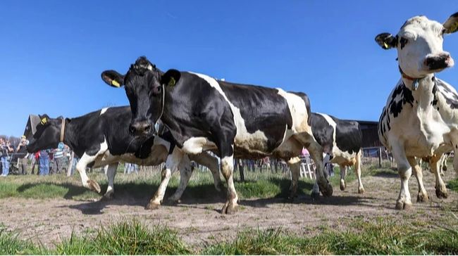 Україна отримала від ARISE мільярд на підтримку аграріїв: кому з фермерів заплатять