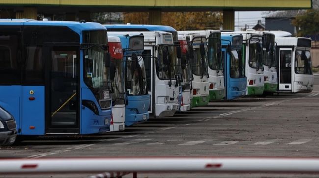 В Україні впала видача автобусних ліцензій: чи вплине це на якість перевезень пасажирів