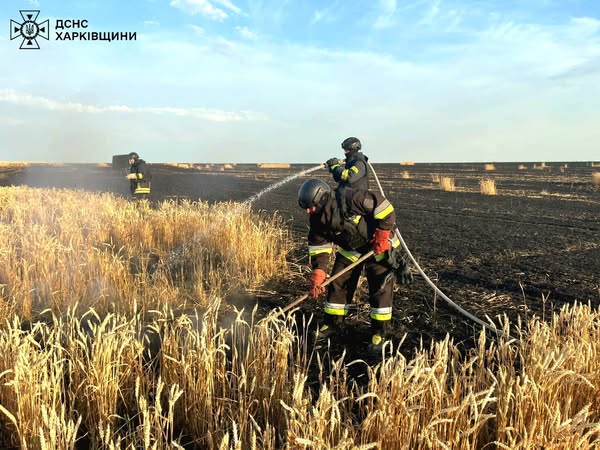 Ворог цинічно знищує хлібні поля на Харківщині Ворог цинічно знищує хлібні поля на Харківщині