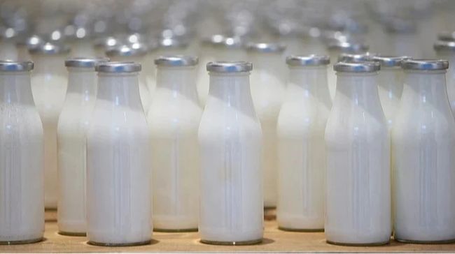 Україна різко скоротила експорт молочної продукції до ЄС