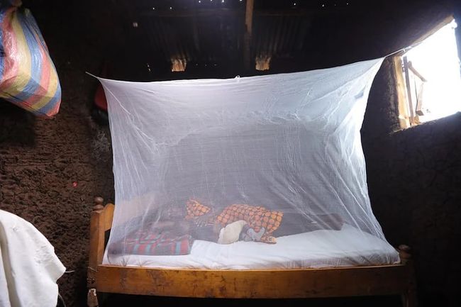 Після скорочення програм USAID у Зімбабве потроїлася смертність від малярії