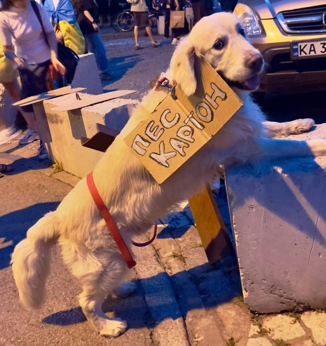 Новини одним рядком