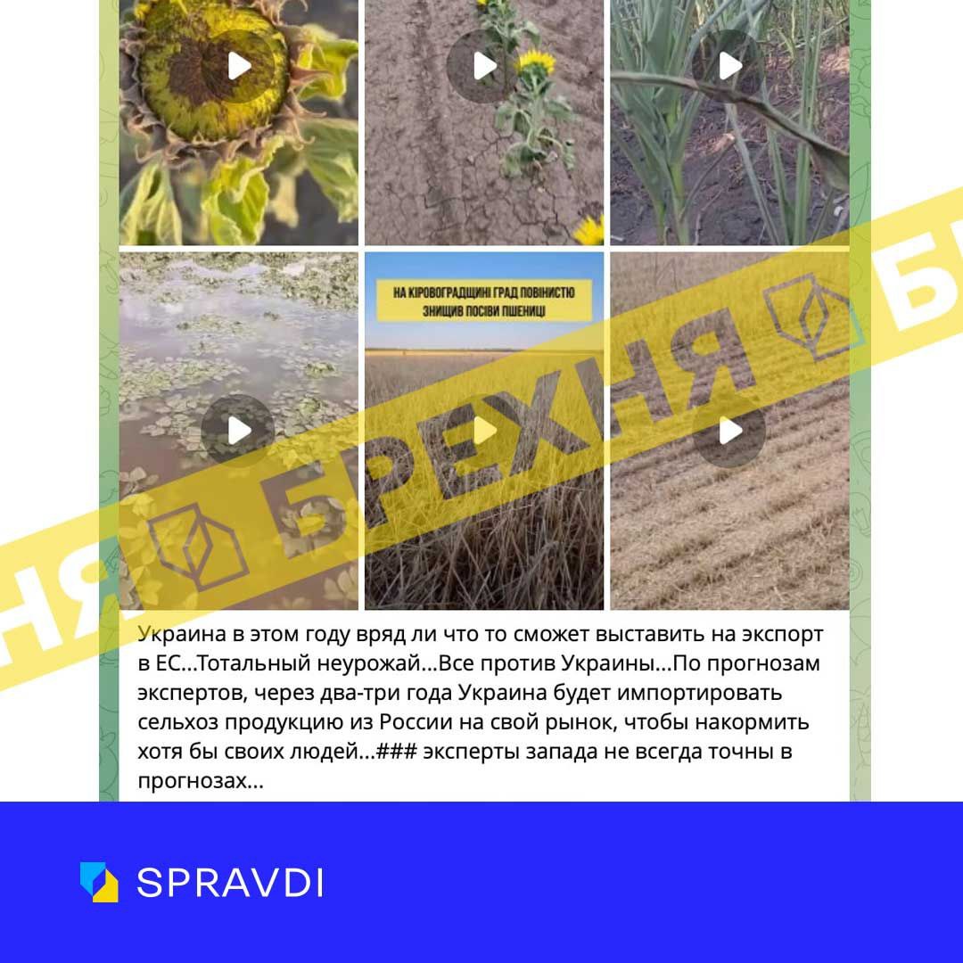 Брехня: «У 2025 році Україна не зможе експортувати продукцію до ЄС через тотальний неврожай, і згодом буде змушена імпортувати їжу з рф»