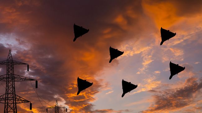 Вчера днём РОВ осуществили налёт на Одесскую область