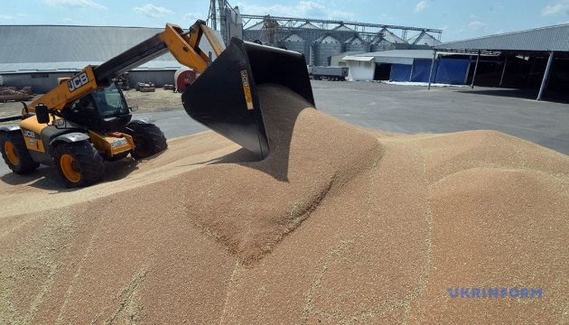 Через відсутність українського зерна польські перевізники зазнають збитків