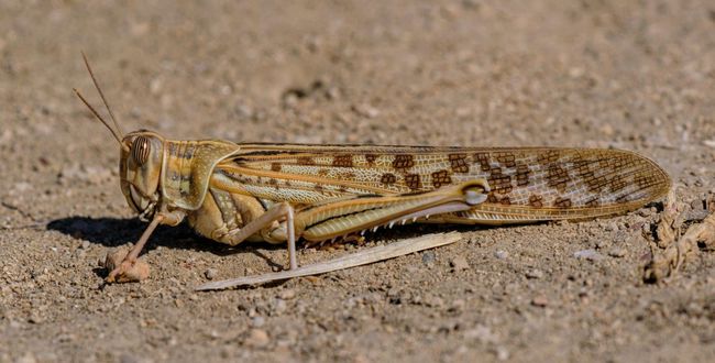 Новини одним рядком