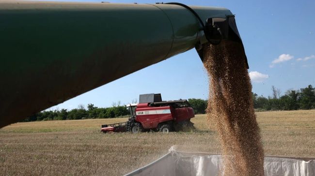 Український агроекспорт склав понад $11 мільярдів за півроку: найбільші країни-імпортери