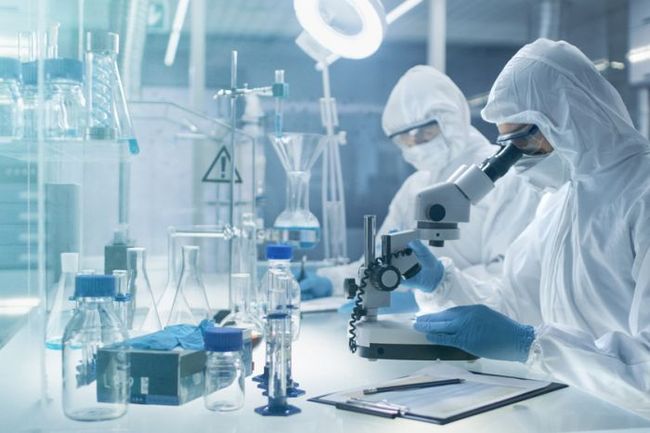 В Китае выпустили огромных комаров-каннибалов для борьбы с эпидемией чикунгуньи