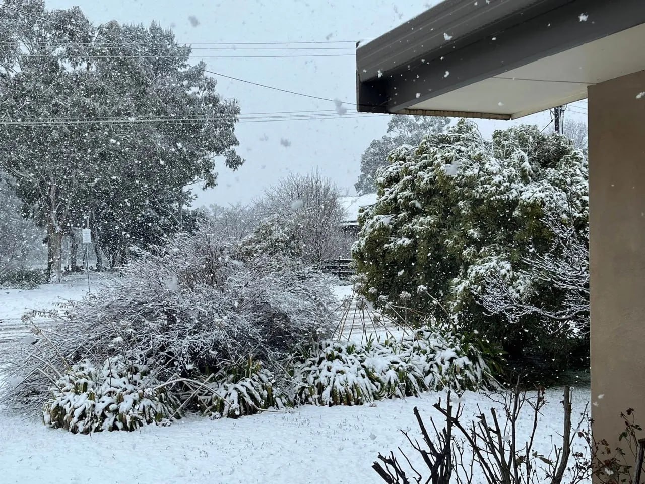 В Австралії несподівано випав сніг