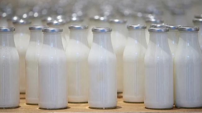 В Україні знизилися ціни на низку молочних продуктів