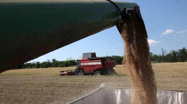 Між Україною та ЄС зменшився оборот торгівлі агропродукцією: які обсяги Між Україною та ЄС зменшився оборот торгівлі агропродукцією: які обсяги