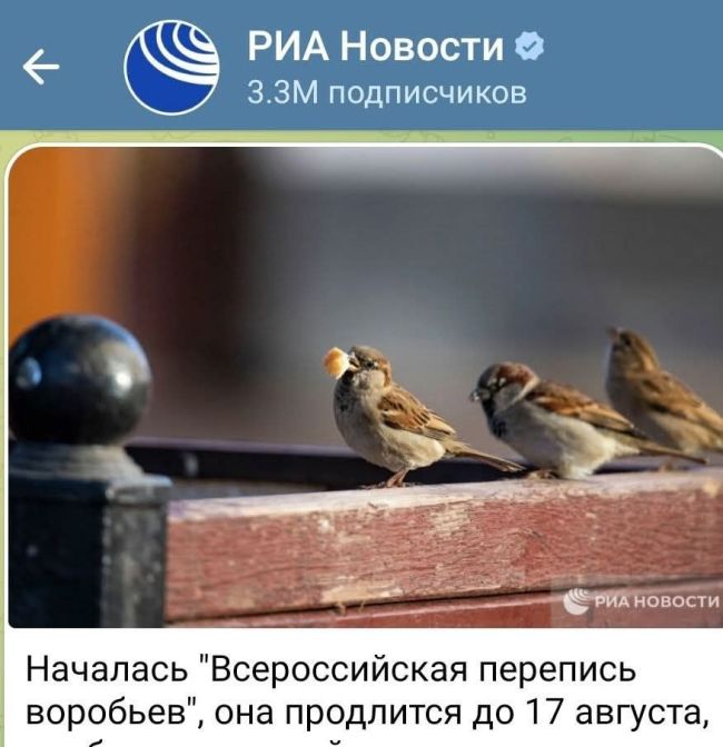 Новини одним рядком