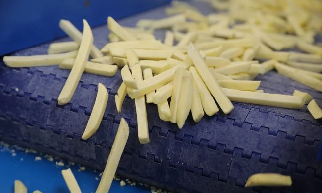 Що заважає українським фермерам розпочати виробництво картоплі фрі?