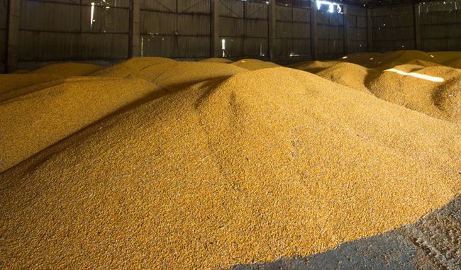 З ТОТ України росіяни вивезли 2,5 млн тонн пшениці нового врожаю, - Нацспротив