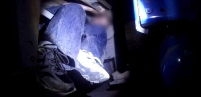 «Комфортна» подорож під вантажівкою за $7 000 (ВІДЕО)