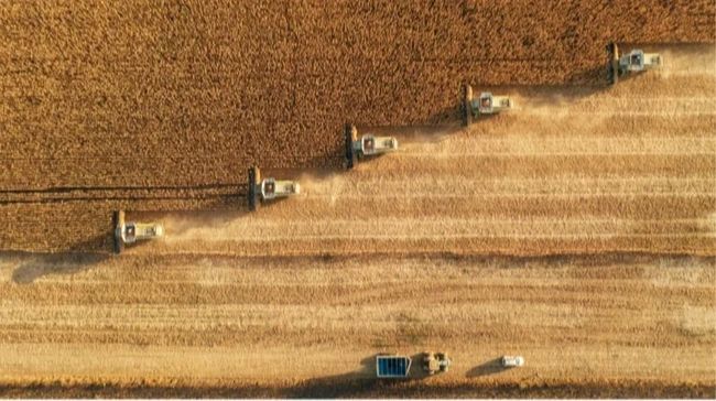 Україна зменшила виробництво агропродукції: які причини