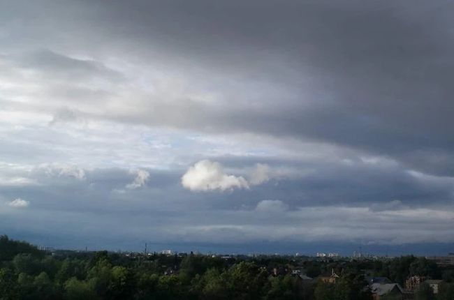 Синоптикиня Наталка Діденко розповіла, в яких регіонах України варто чекати дощів