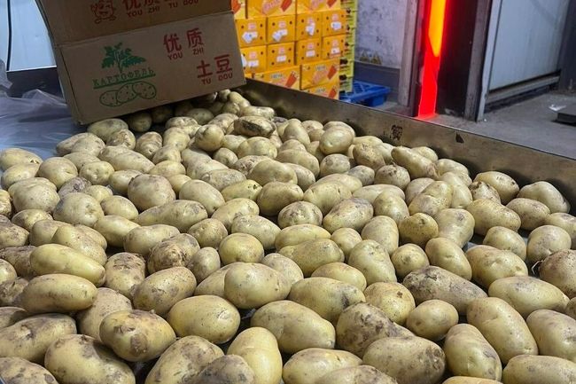 Китай годує росію картоплею: експорт зріс у 4,4 раза - СЗРУ