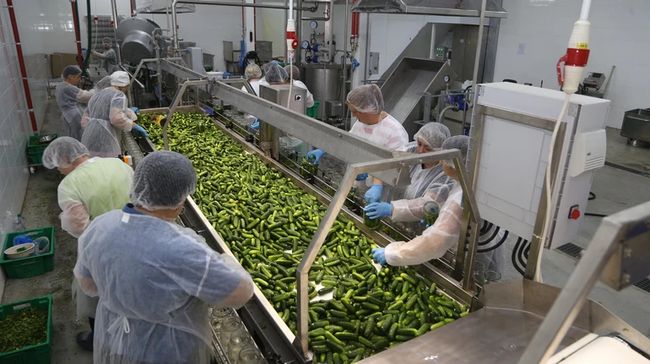 На Тернопільщині зявився завод з виробництва овочевих консерв та соління: обсяг інвестицій