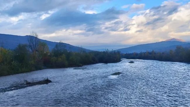 Понад 5 тисяч українців незаконно перетнули кордон з Румунією з початку року