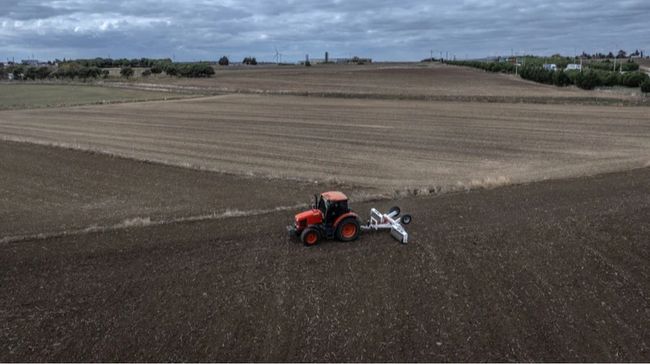 Суд наказав не повертати урожай із землі Міноборони, якою користувалися фермери