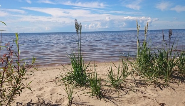 У росії за 6 кілометрів від Естонії впав безпілотник