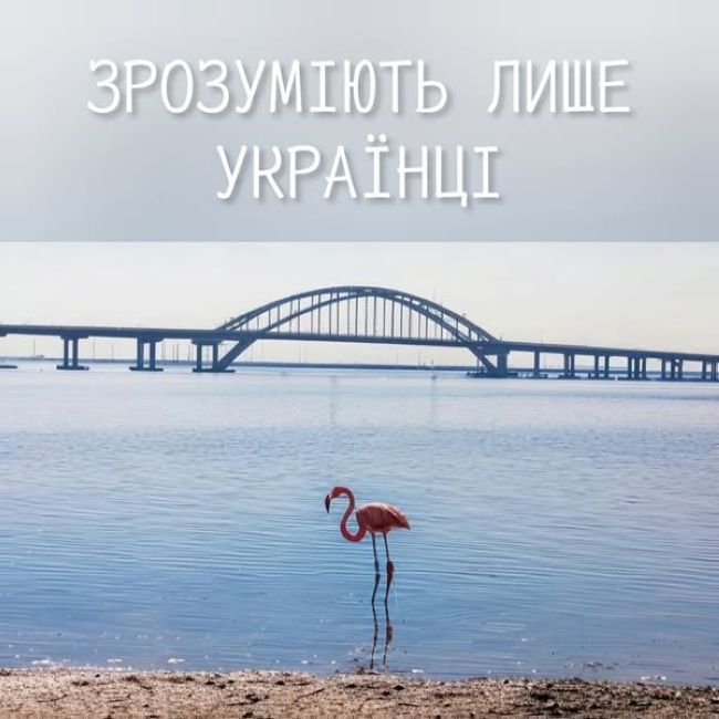 Новини одним рядком