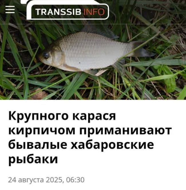 Новини одним рядком