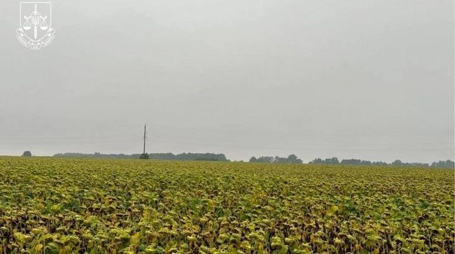 На Житомирщині викрили схему з вирощування і продажу зерна з радіоактивно забруднених земель