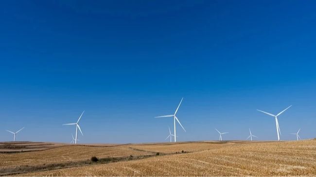 Німці хочуть побудувати біля Києва вітрову електростанцію