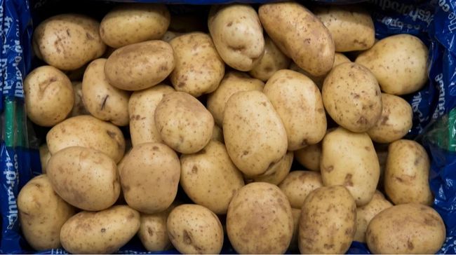 В Євросоюзі рекордно впали ціни на картоплю: шукають альтернативу для надлишків
