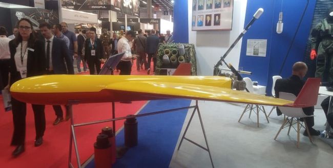 Польський Шахед: в мережі показали новітній ударний БПЛА PLargonia