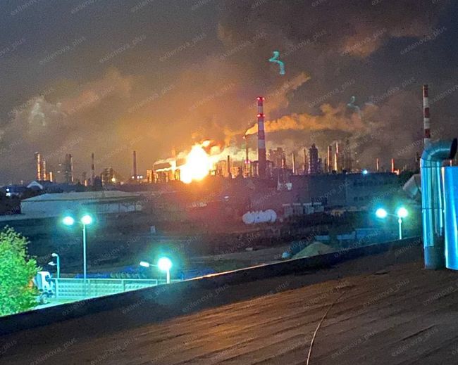 Анорексується кощієва голка послідовно, Силами оборони України - Мадяр