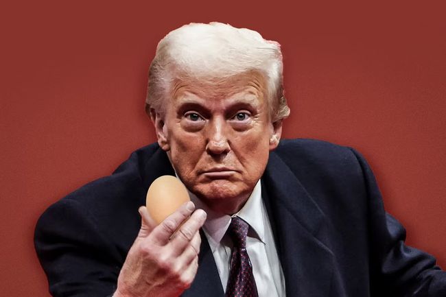 Трампу не вистачає яєць Трампу не вистачає яєць
