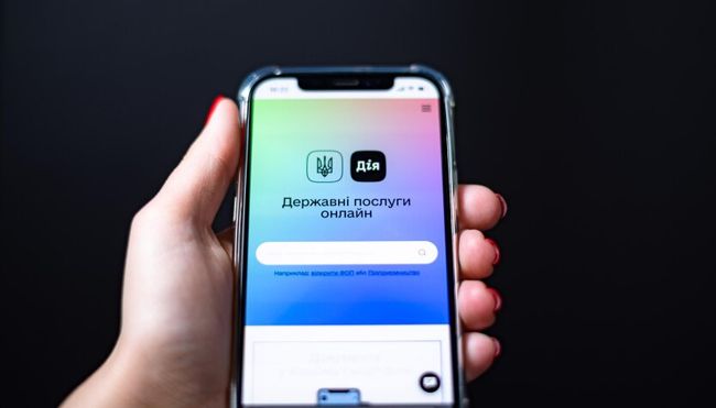 У Харкові викрили шахраїв з фейковим додатком Дія: як працювала схема