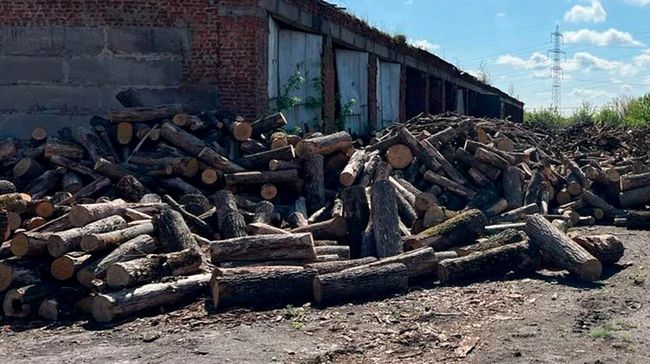 Уряд роздасть по 20 тисяч гривень за опалення будинків дровами