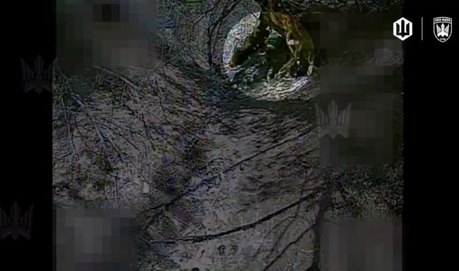 Загрози ближче, ніж здається - Мадяр