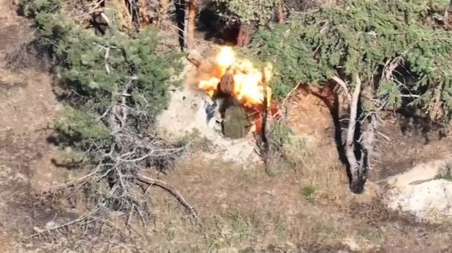 На Півдні країни дрони прикордонників розібрали позицію ворожого розрахунку гармати Д-30 (ВІДЕО)