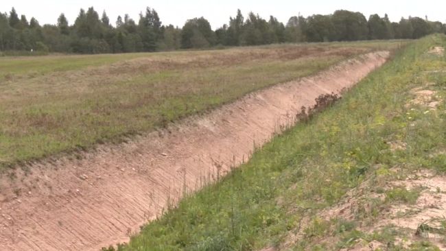 Естонія окопується