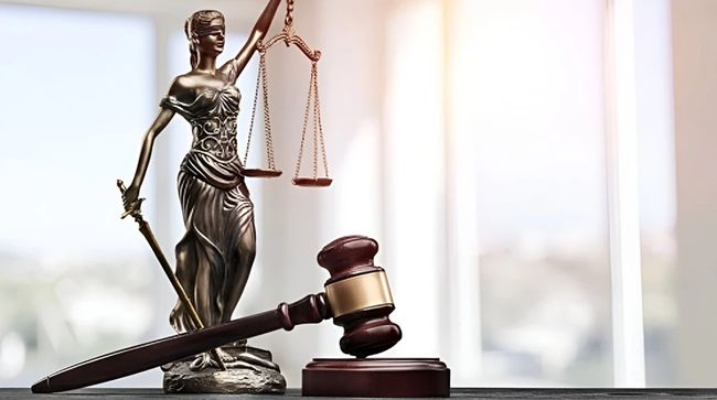 Продаж за безцінь землі в Мукачеві на Закарпатті: екстрадованій з Німеччини обвинуваченій обрали запобіжний захід