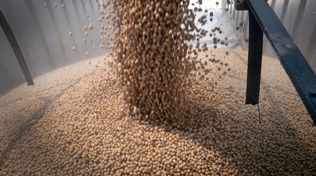 Український бізнес закликає скасувати експортне мито на сою та ріпак