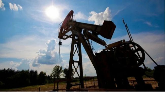 Держслужба геології опублікувала звіт про верифікацію запасів копалин Держслужба геології опублікувала звіт про верифікацію запасів копалин