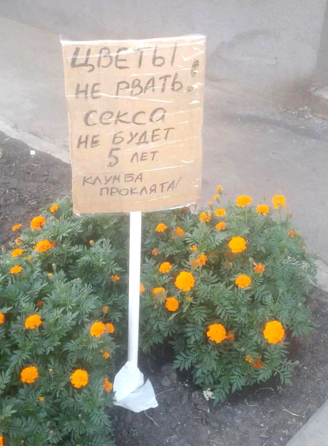 Новини одним рядком