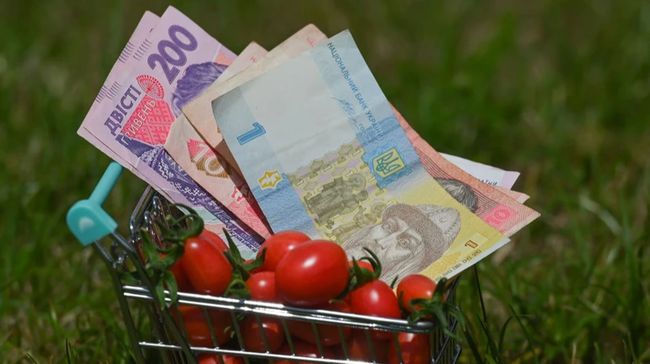 В Україні можуть встановити прожитковий мінімум на рівні з фактичним споживанням