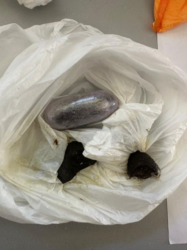 На Одещині прикордонники виявили наркотики у багажі громадянина Франції На Одещині прикордонники виявили наркотики у багажі громадянина Франції