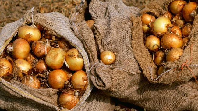 В Україні змінились ціни на цибулю: скільки тепер вона коштує